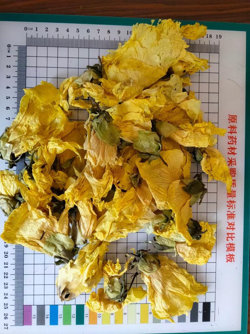 黄蜀葵花干花无硫泡茶干净无杂中药材大全视频看货包邮