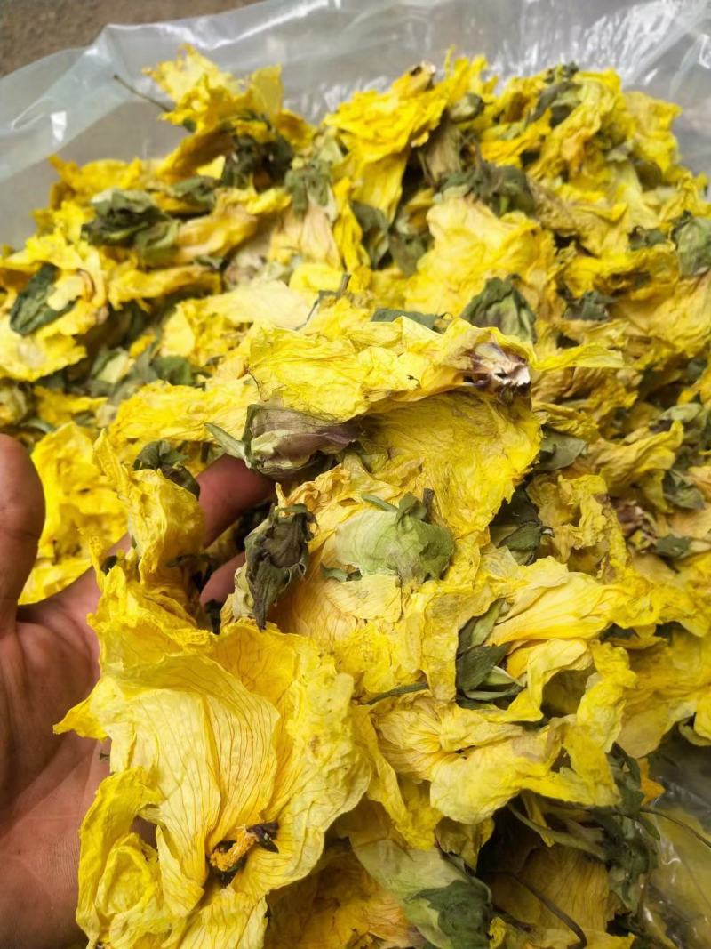 黄蜀葵花干花无硫泡茶干净无杂中药材大全视频看货包邮