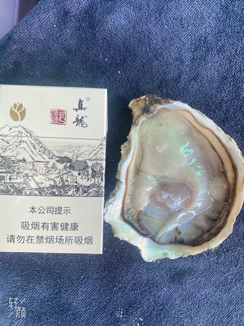 乳山三倍体，2+