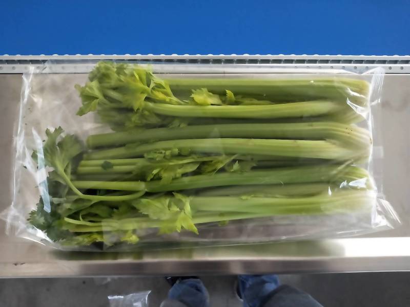 河粉包装机，面包蛋糕月饼独立包装，大尺寸独立包装，