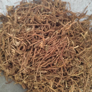 龙胆草纯无硫龙胆草