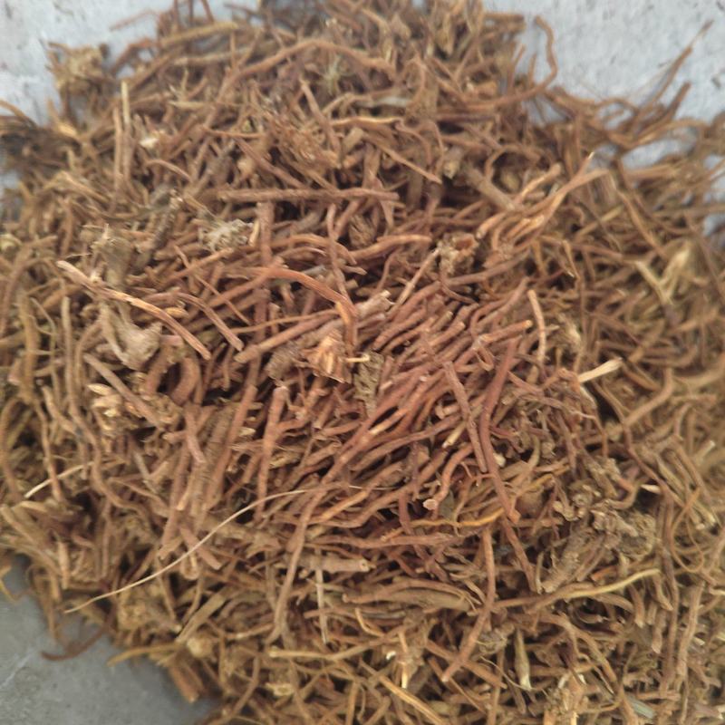 龙胆草纯无硫龙胆草