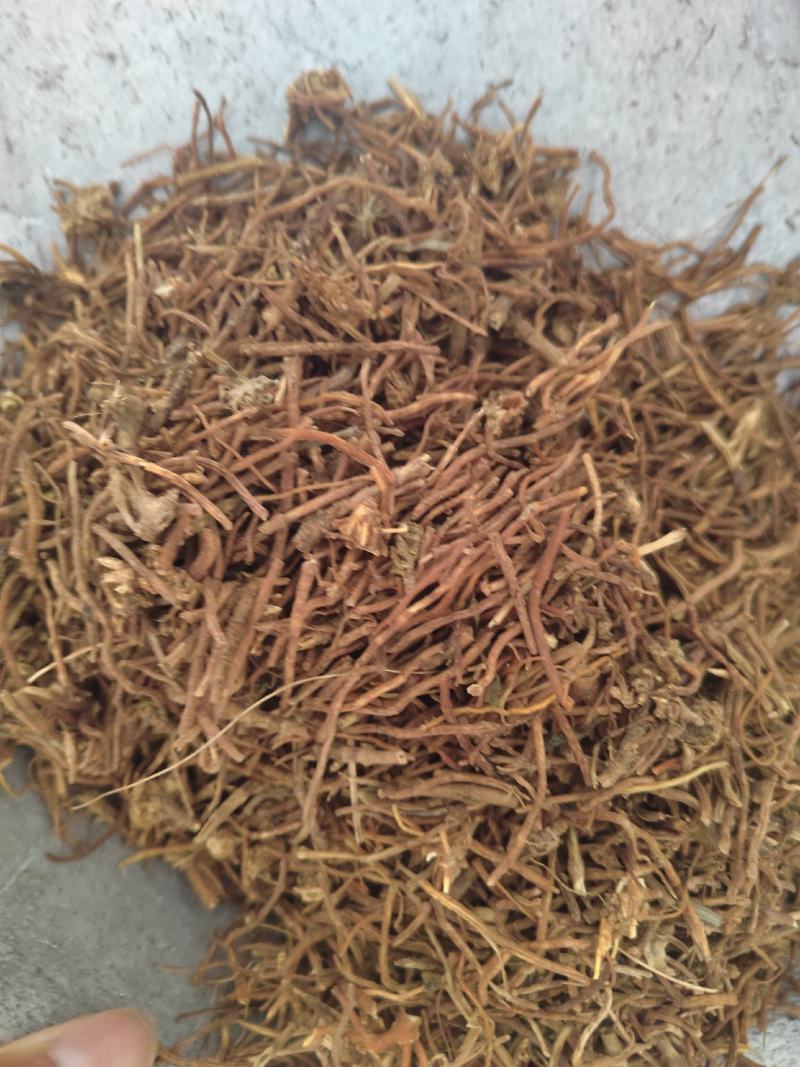 龙胆草纯无硫龙胆草