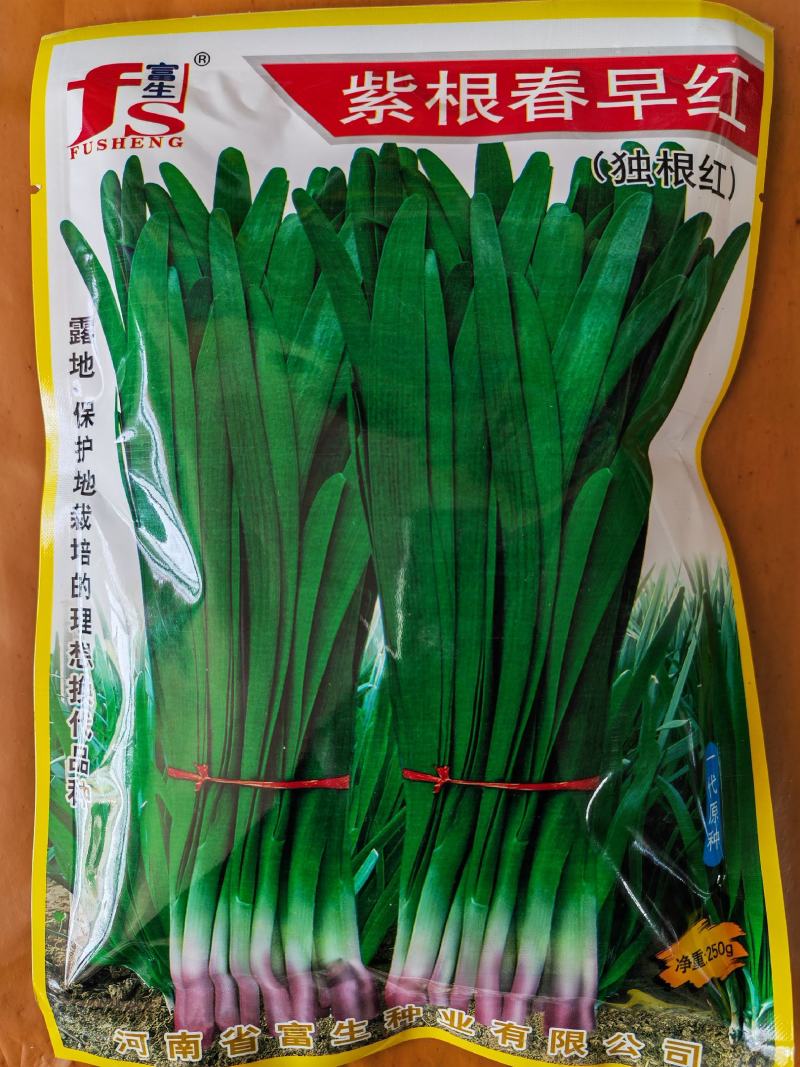紫根红韭菜种子791宽叶韭菜种子耐寒好250g