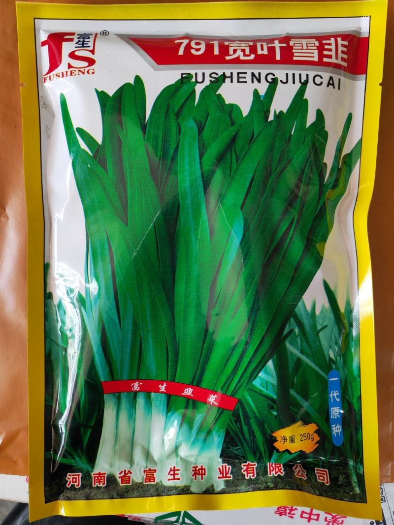 紫根红韭菜种子791宽叶韭菜种子耐寒好250g