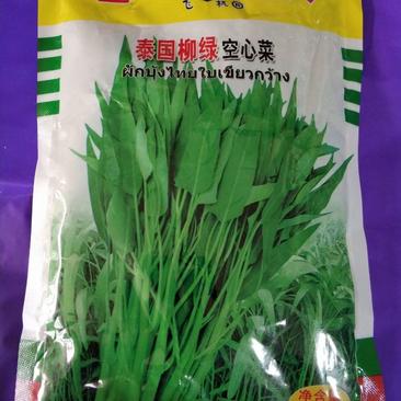 空心菜种子泰国柳绿空心菜种子一斤装