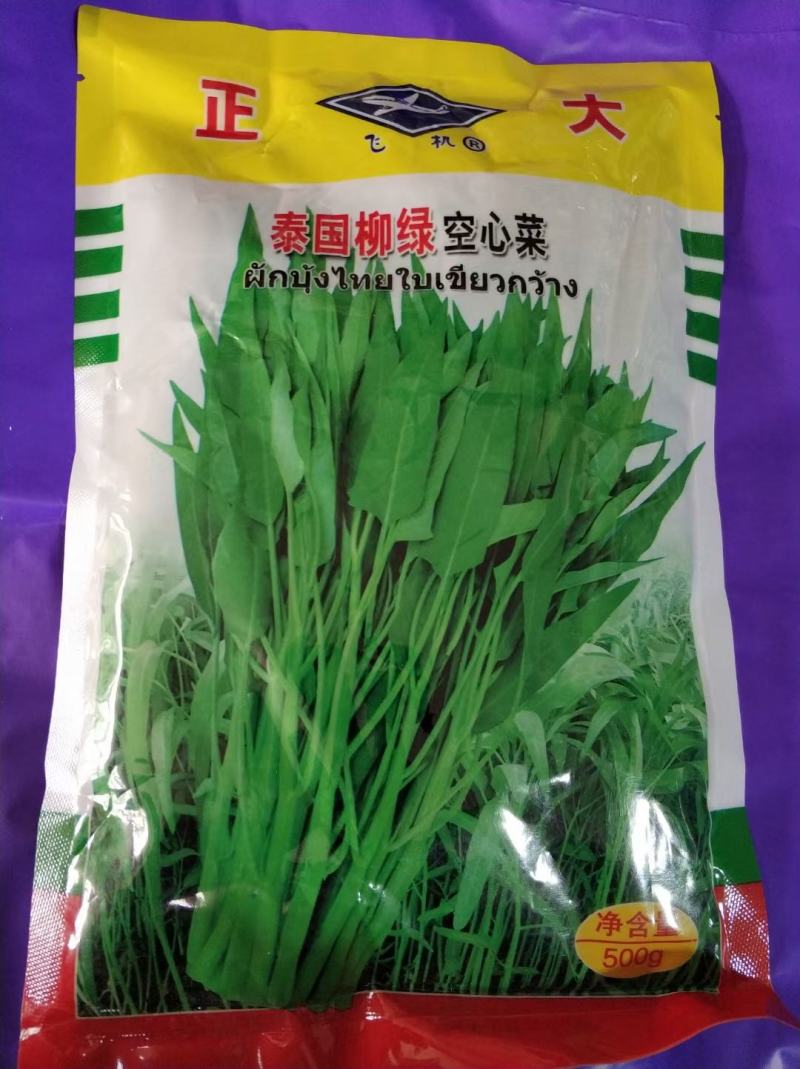 空心菜种子泰国柳绿空心菜种子一斤装