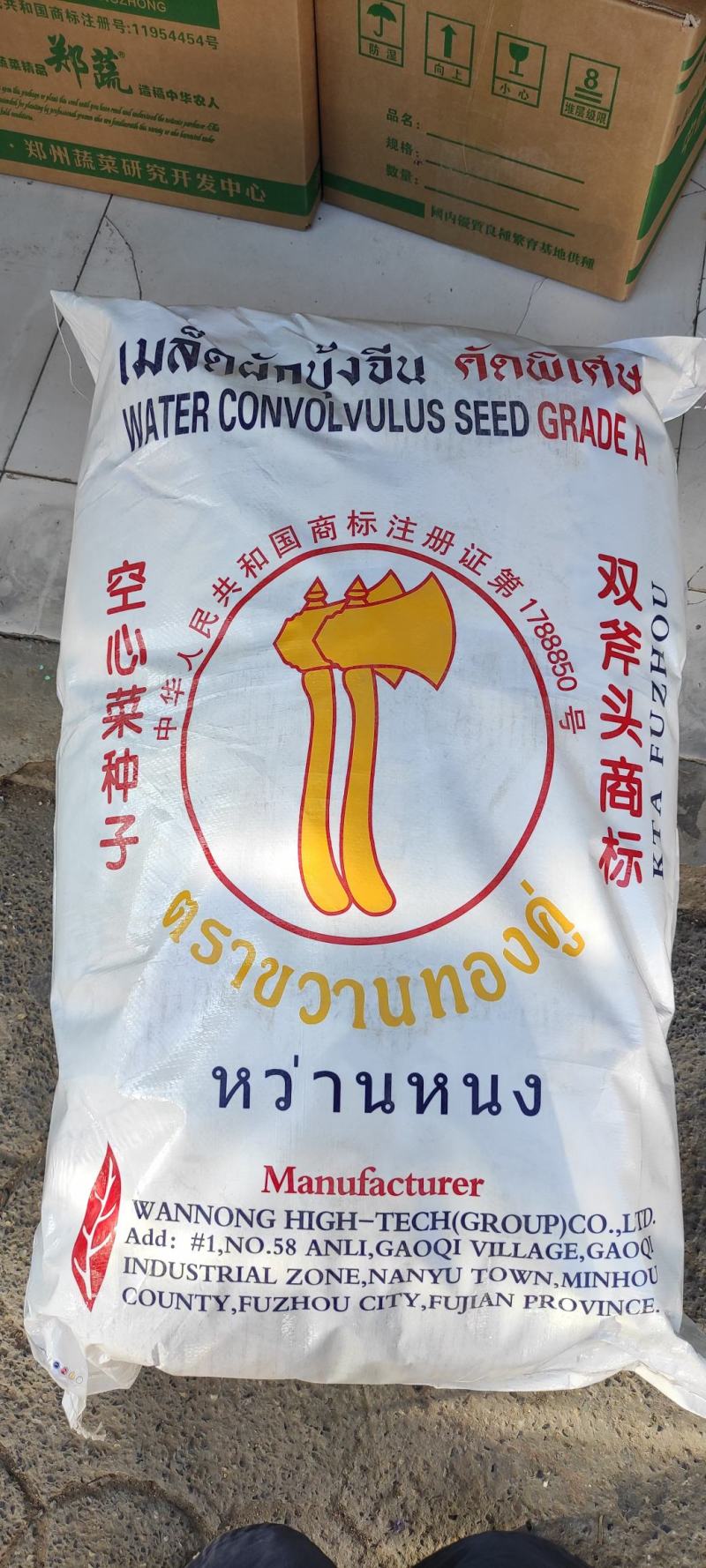 空心菜种子泰国柳绿空心菜种子一斤装