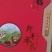 蒡之星牛蒡茶，源自牛蒡之乡，口感醇正，养生茶