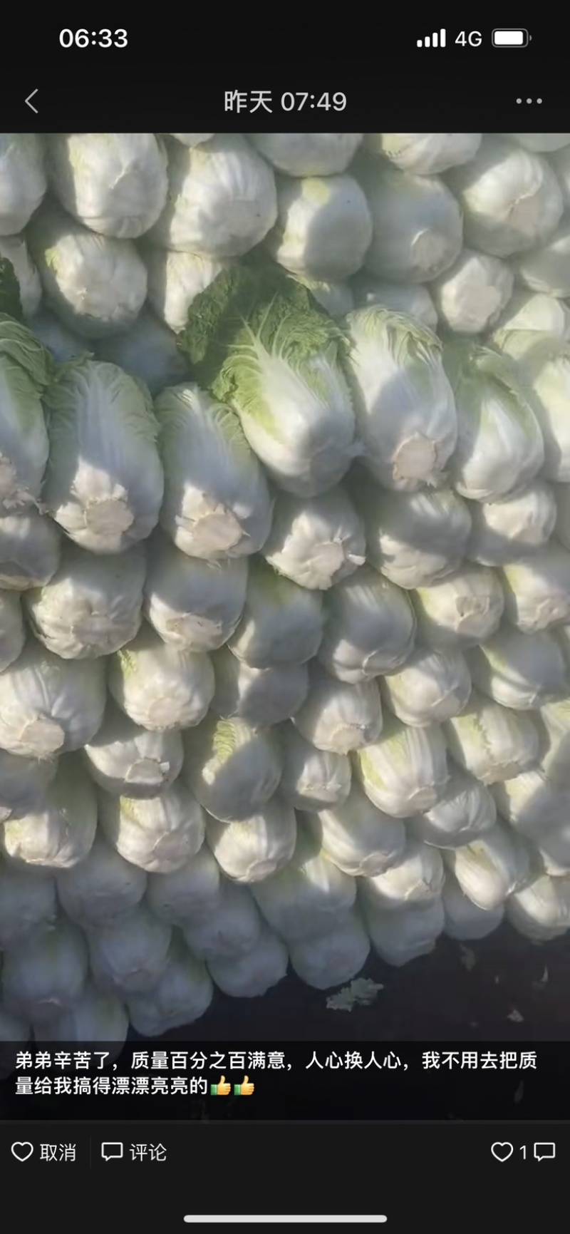蔚县高山旱地黄心菜。品质保证。