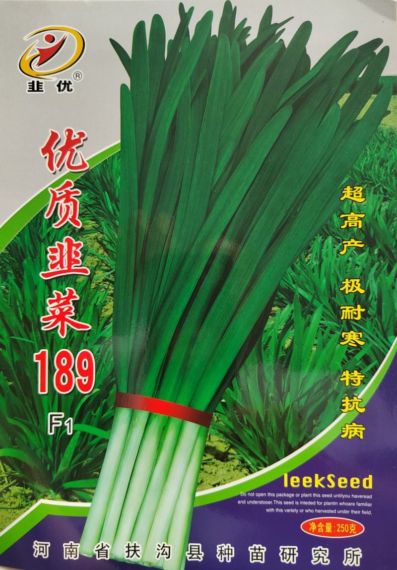 韭菜189F1韭菜种子高产耐寒抗病性强