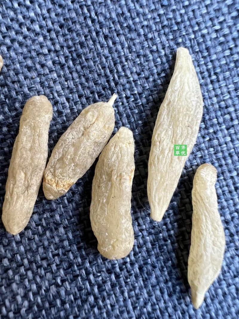 云南野生药材麦冬寸冬川麦冬沿阶草、书带草、麦门冬5