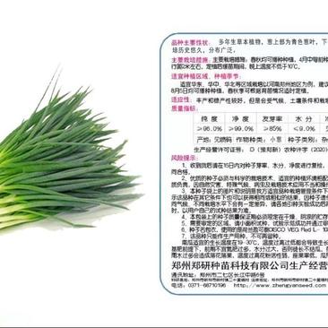 【精】郑研四季小香葱种子500g，味道鲜美，产量高