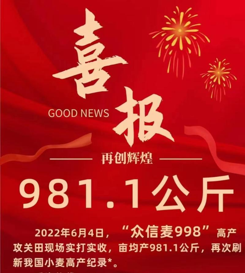 众信麦998，高产就属它
