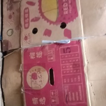出售二手榴莲箱