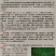 中绿韭菜二号F1种子河南韭菜种子公司品种纯技术指导