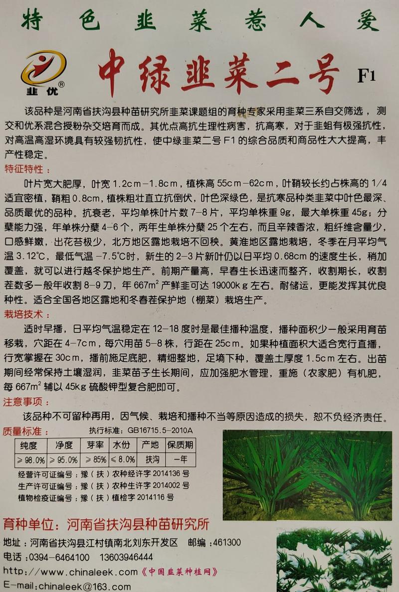 中绿韭菜二号F1种子河南韭菜种子公司品种纯技术指导