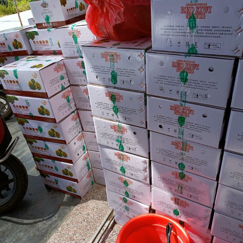 正宗中华熊猫苑凤凰本地红心猕猴桃，口感好，甜度高，特价优