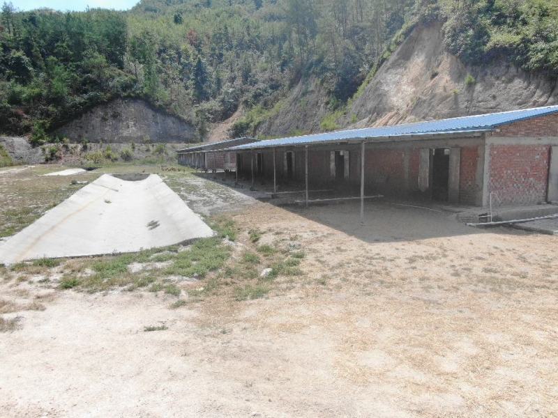 20亩九成新交通便利养殖基地待租。