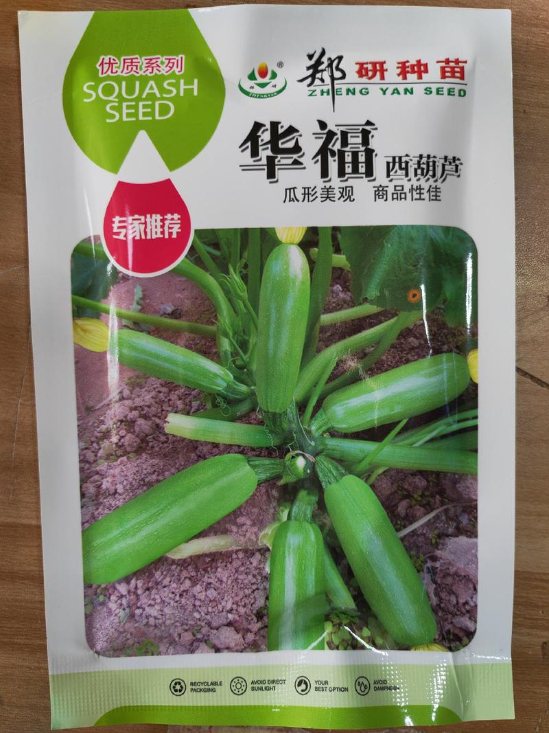 【精】郑研华福西葫芦种子50g，耐高温，抗逆能力强