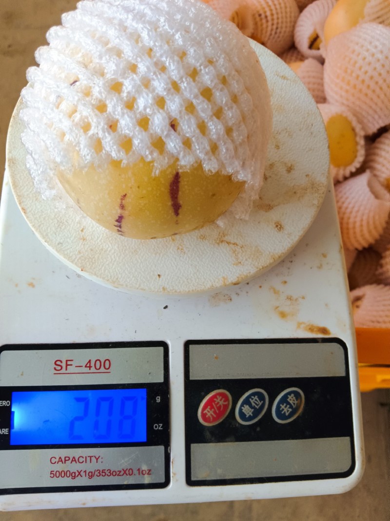 云南人参果，当季节，精品果子，清甜多汁，基地直供，质量保
