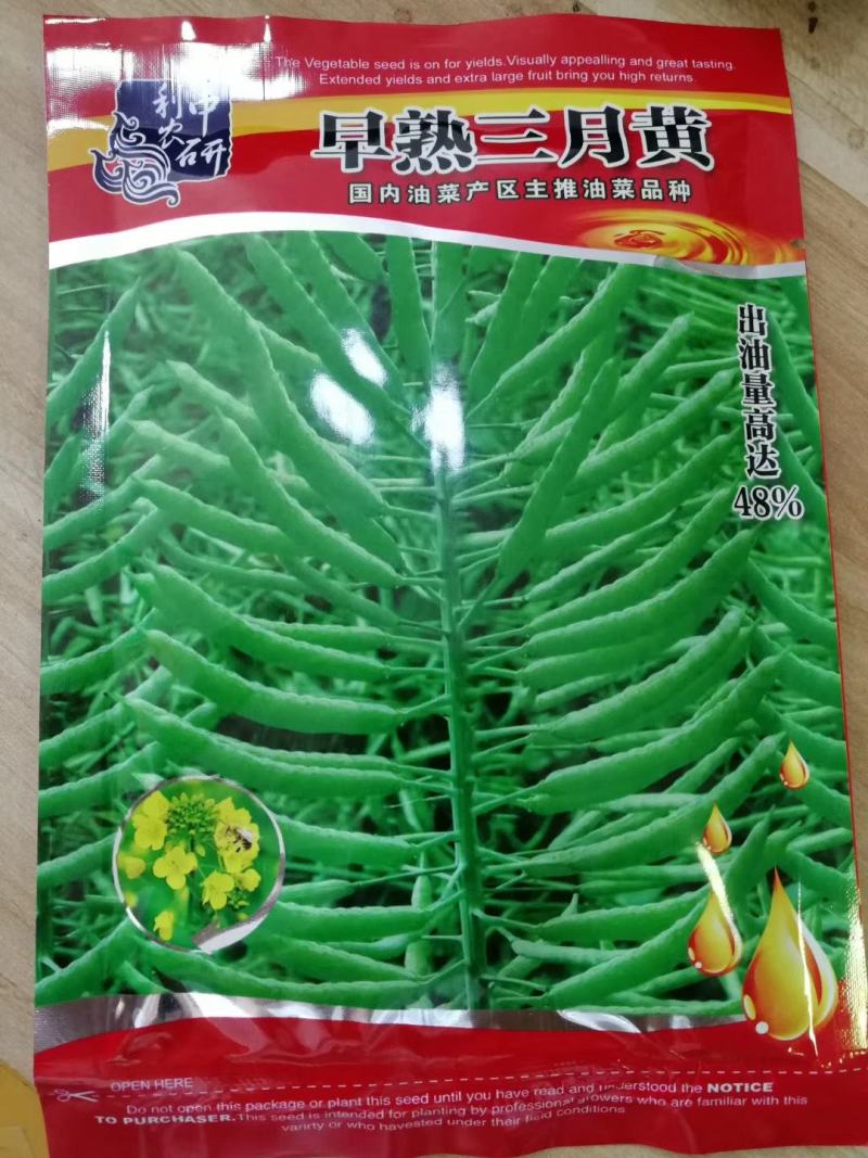 郑研靓油六号油菜种子秦油二号三月黄油菜种子