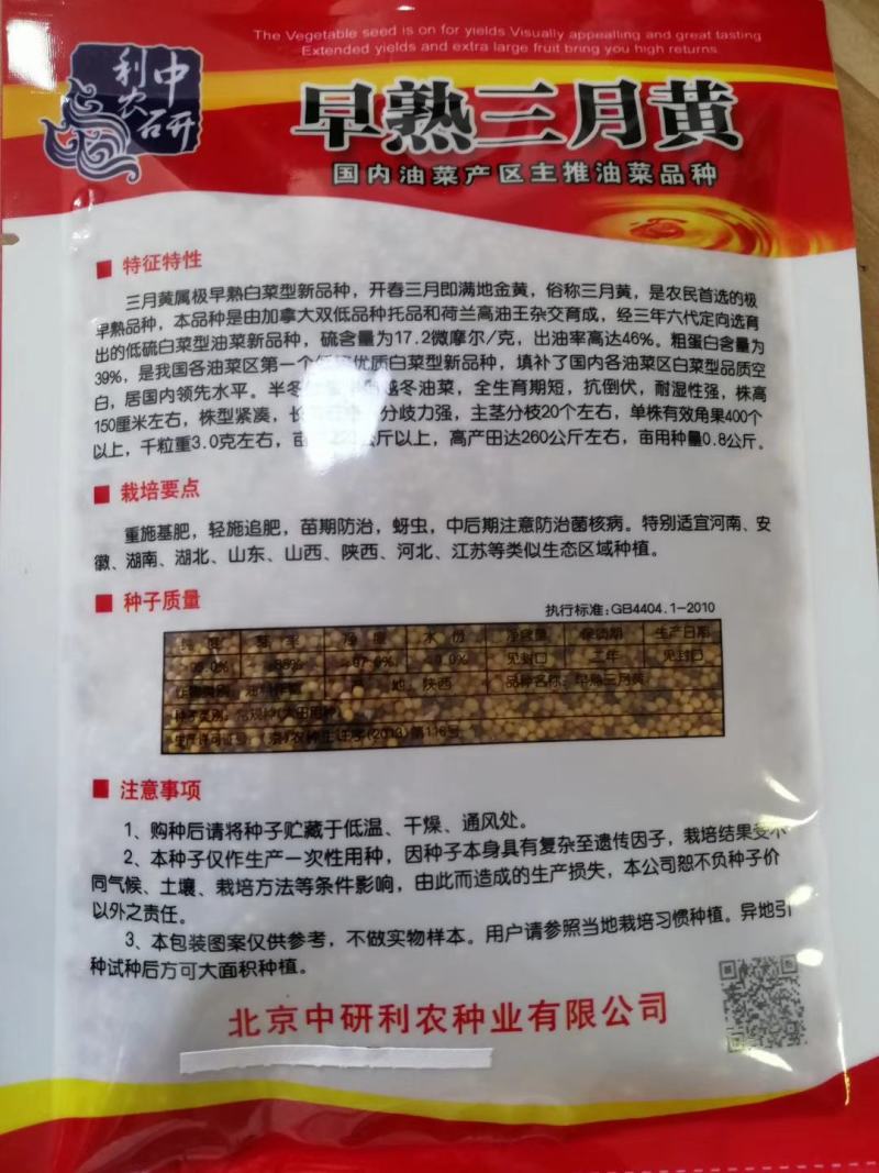 郑研靓油六号油菜种子秦油二号三月黄油菜种子