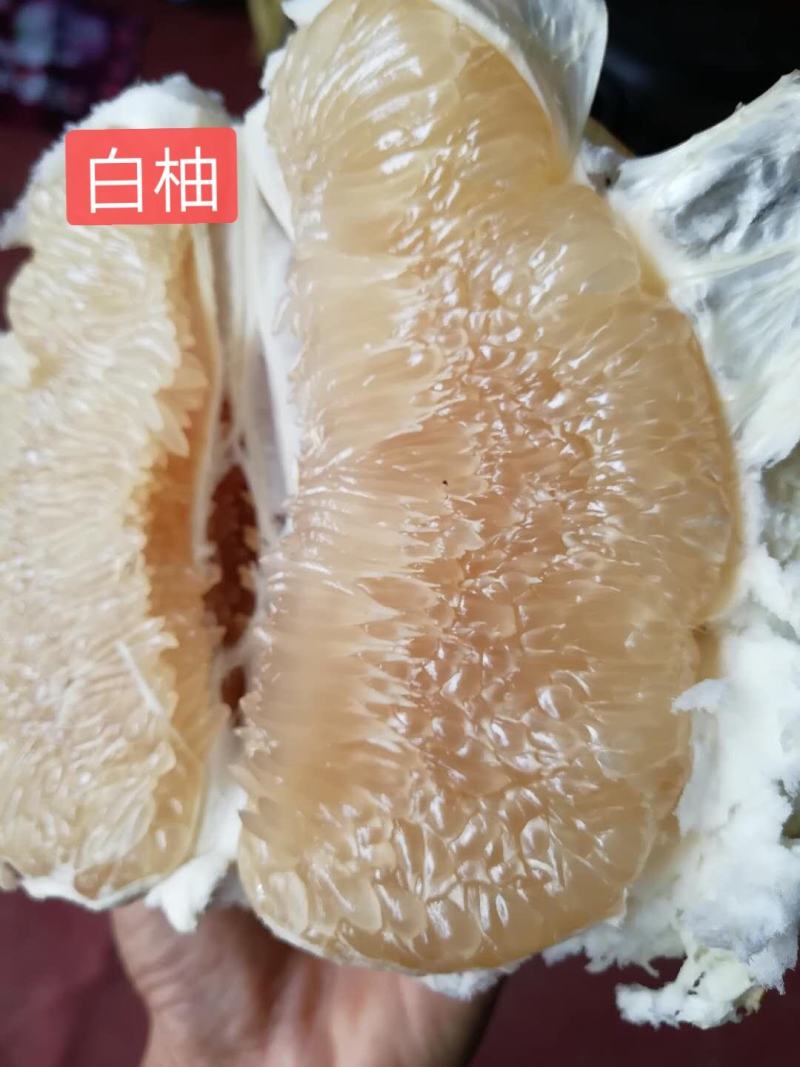 平和琯溪蜜柚产地供应链高品质量直供商超电商大批量供货