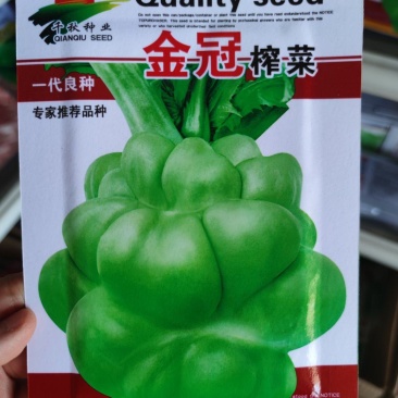 金冠榨菜种子，8克，单茎重800克
