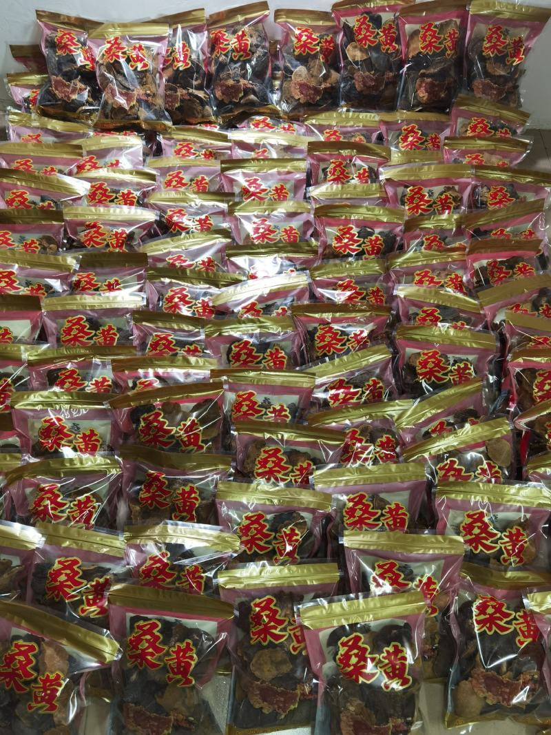 包邮西藏金丝野生桑树桑黄森林金黄一斤质量保证一手货源包邮