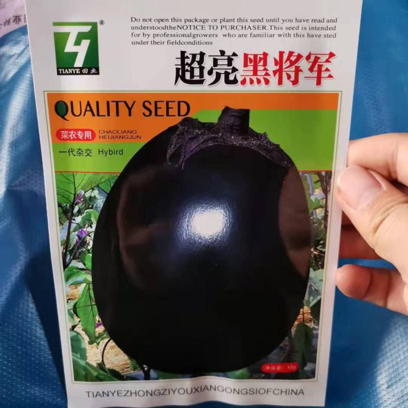 黑胖圆帅茄子种子线茄种子长茄种子10g灯泡茄种子