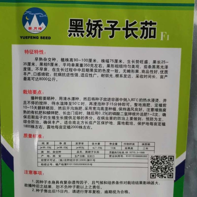 黑胖圆帅茄子种子线茄种子长茄种子10g灯泡茄种子