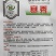 秋雅早熟白菜种子60天可采收上市早冬丽黄心白菜种子