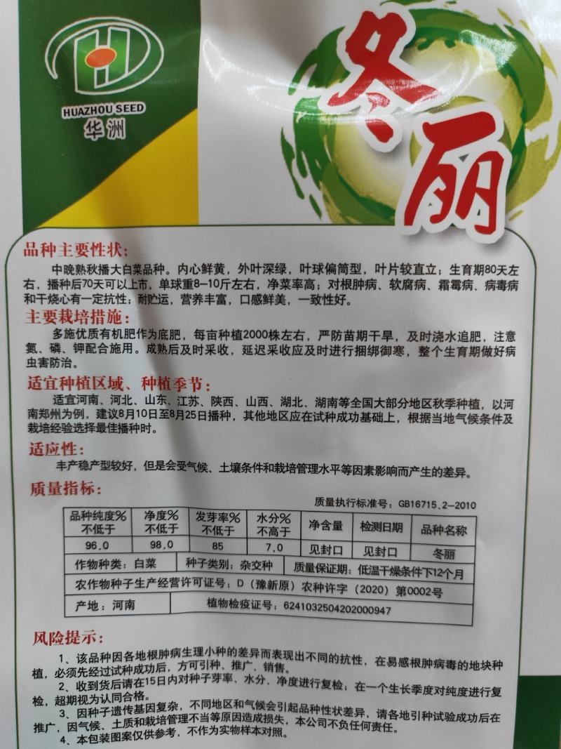 秋雅早熟白菜种子60天可采收上市早冬丽黄心白菜种子
