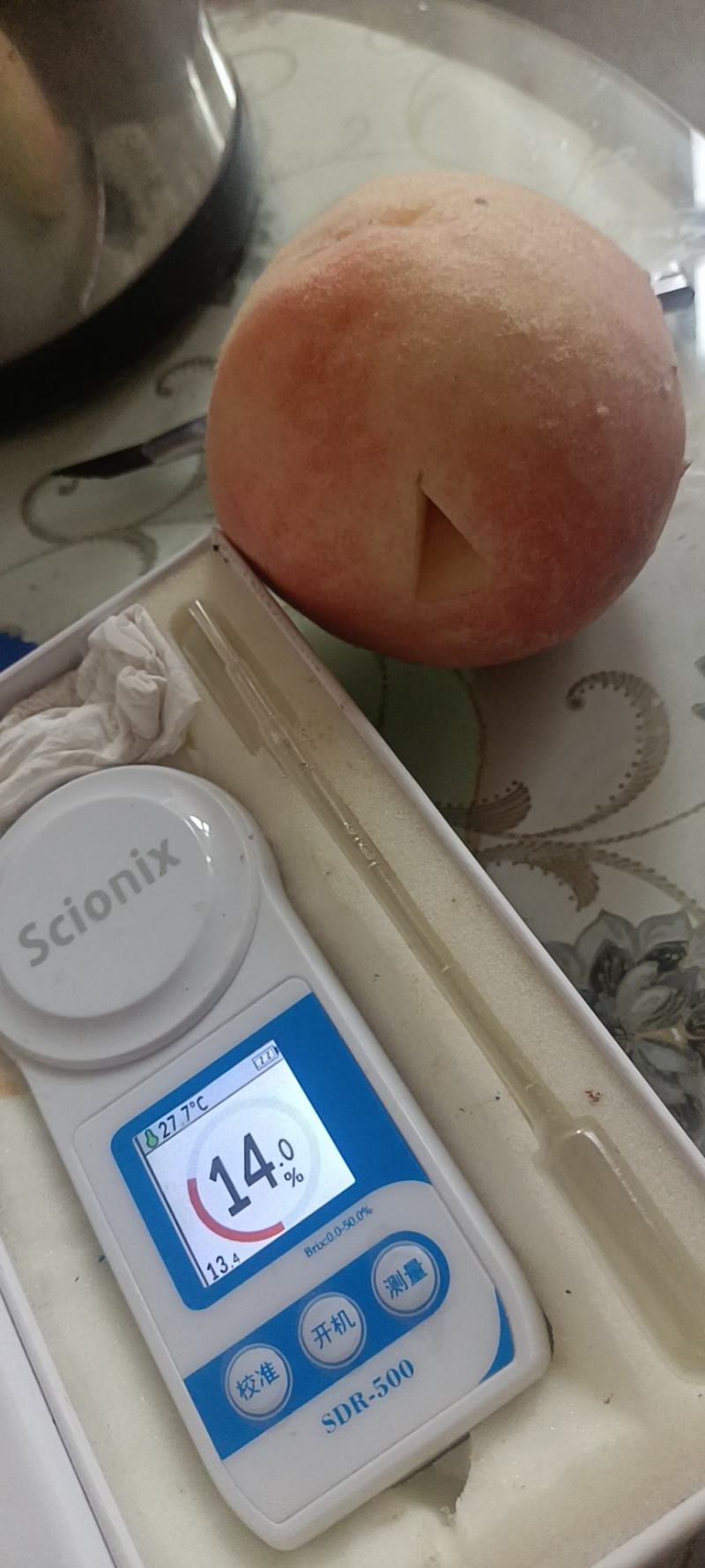 秋彤毛桃
