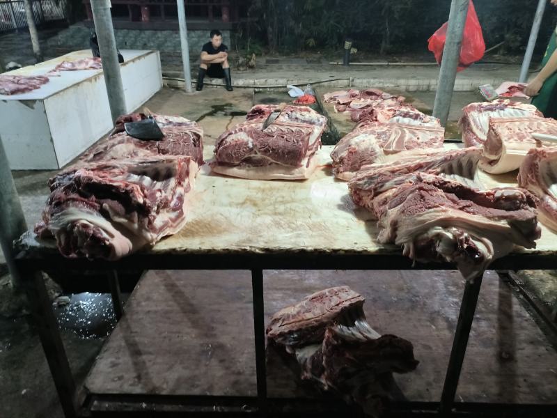 白条猪