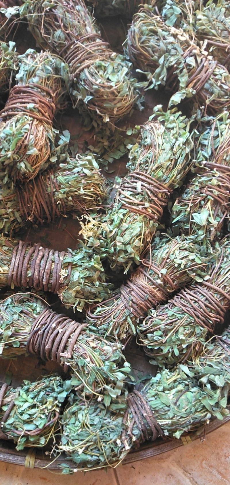 鸡骨草野生鸡骨草广东肇庆鸡骨草
