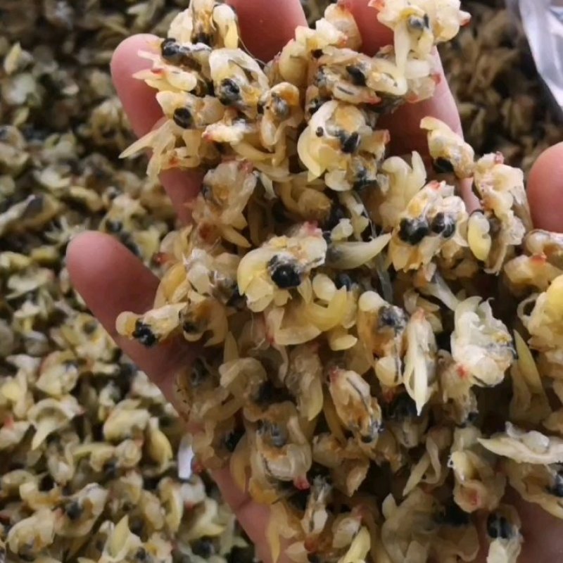 花甲肉，高品质，适合摆地摊，赶大集，易保存
