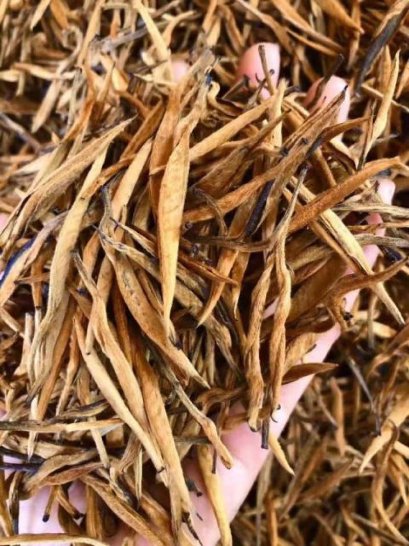 云南滇红茶