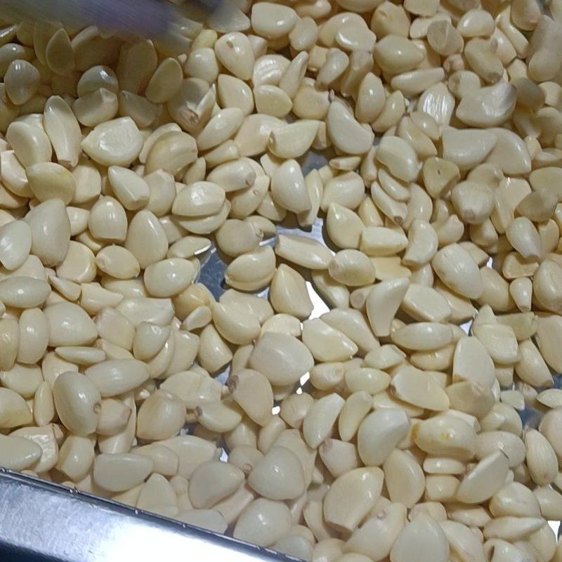金乡蒜米料国内米出口米各种规格都有长年供应货源充足