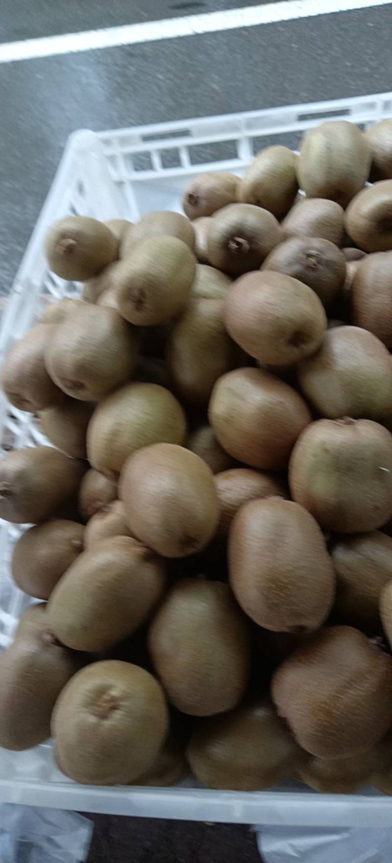 弥猴桃