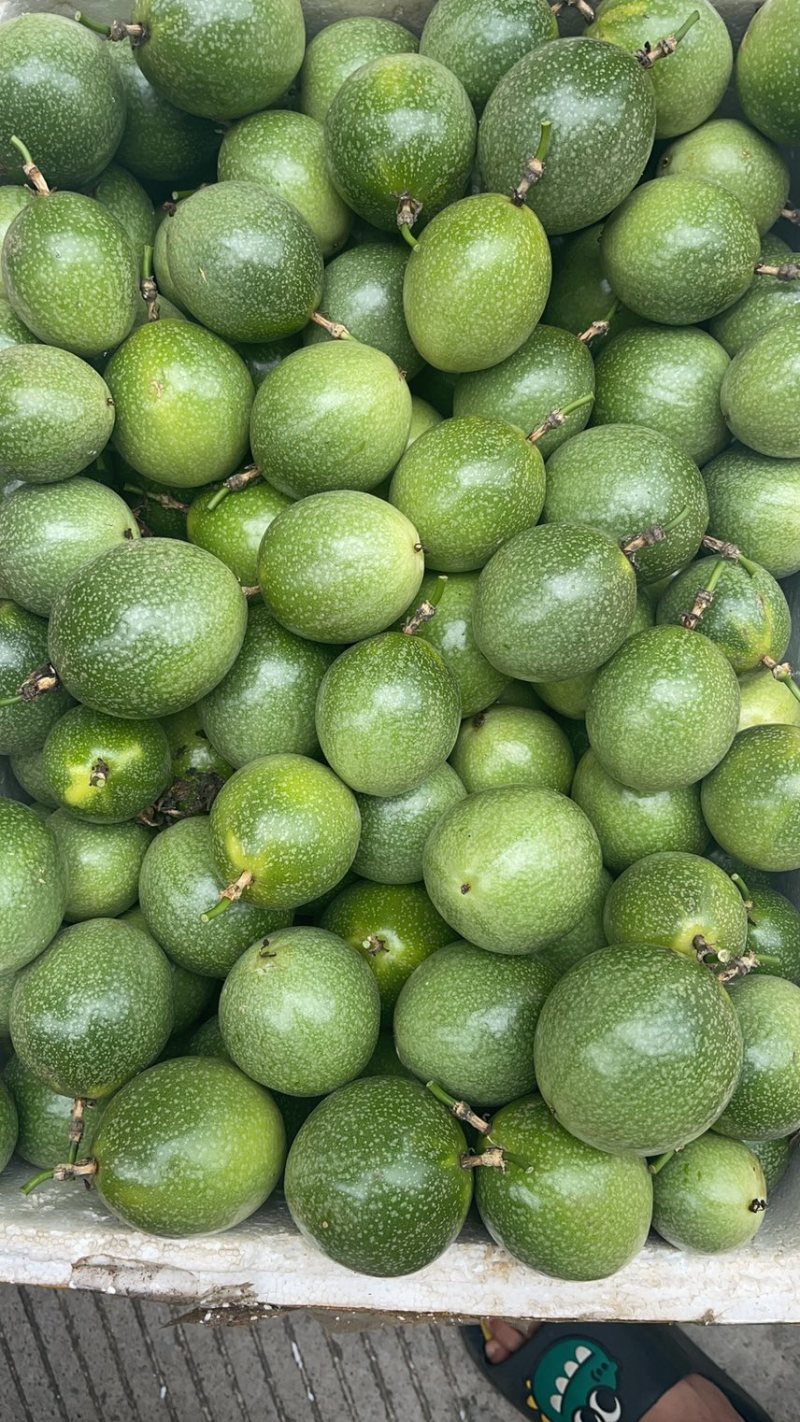 黄金果钦蜜9号纯甜