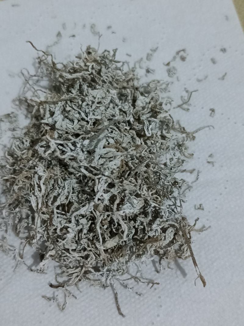 正宗张家界野生莓茶