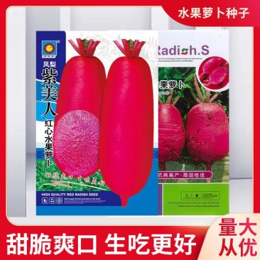 凤梨水果萝卜种子紫美人红心水果萝卜种子萝卜籽种孑四季甜脆