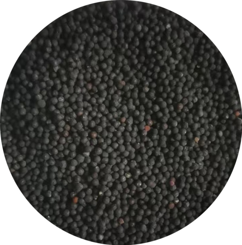 切花满天星种子园林绿化花海打造满天星种子一级种子批发零售