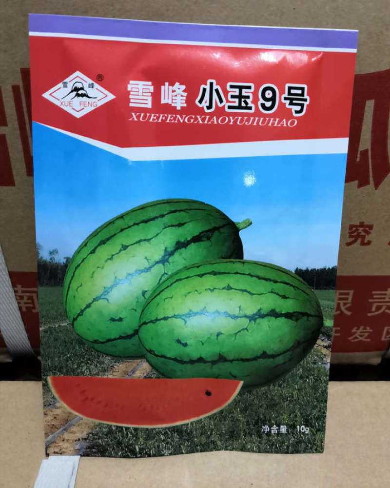 350粒红小玉西瓜种子黄小玉西瓜种子小玉9号西瓜种子