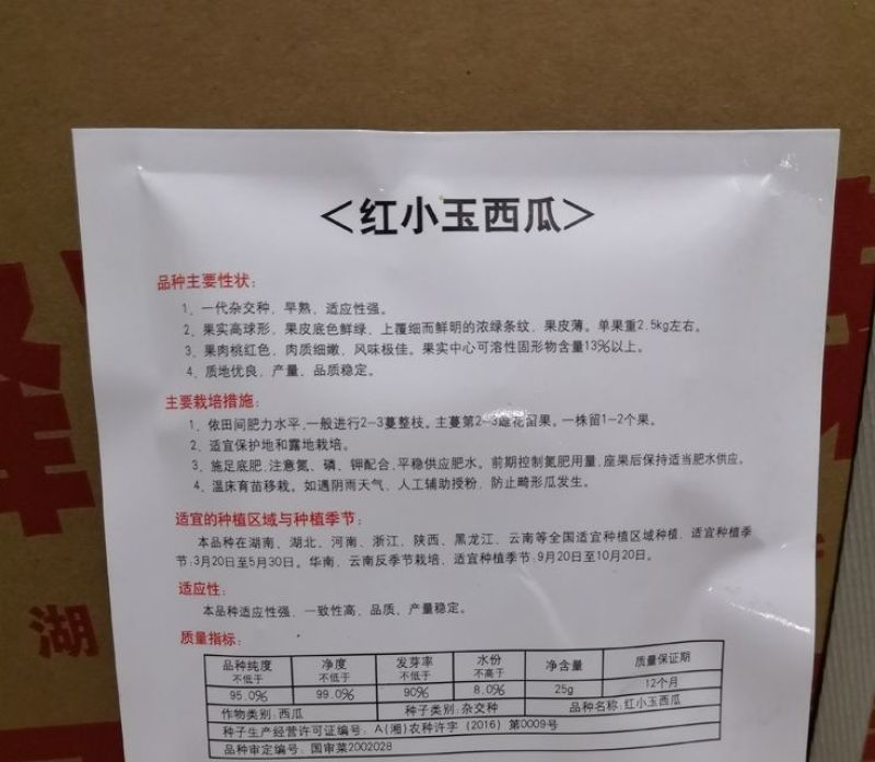 350粒红小玉西瓜种子黄小玉西瓜种子小玉9号西瓜种子