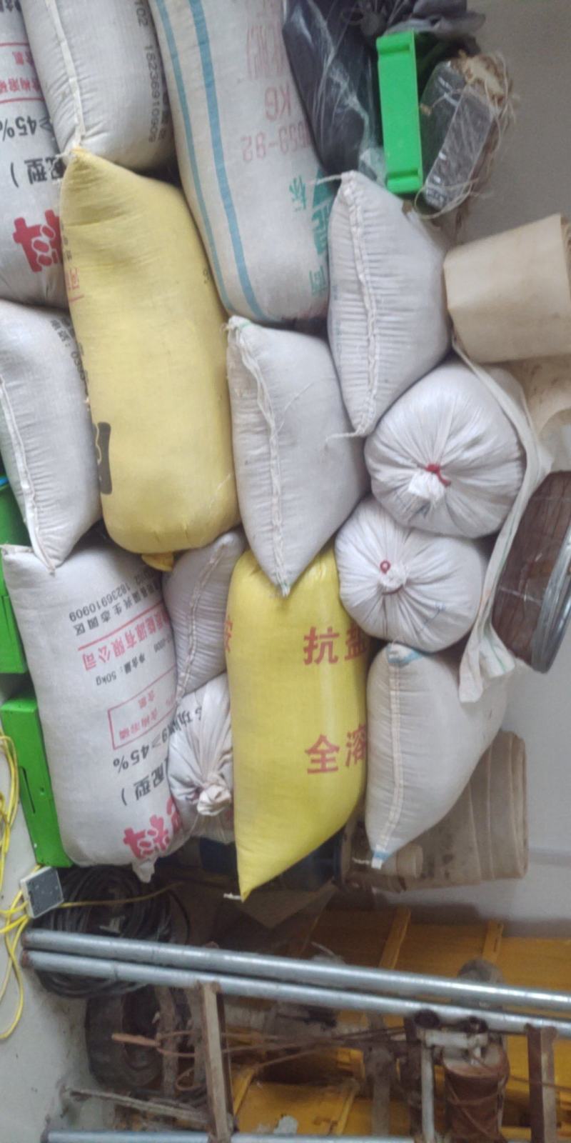 黑小麦