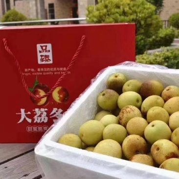 冬枣陕西大荔冬枣，一件代发，团购，高端对接