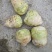 大头菜，